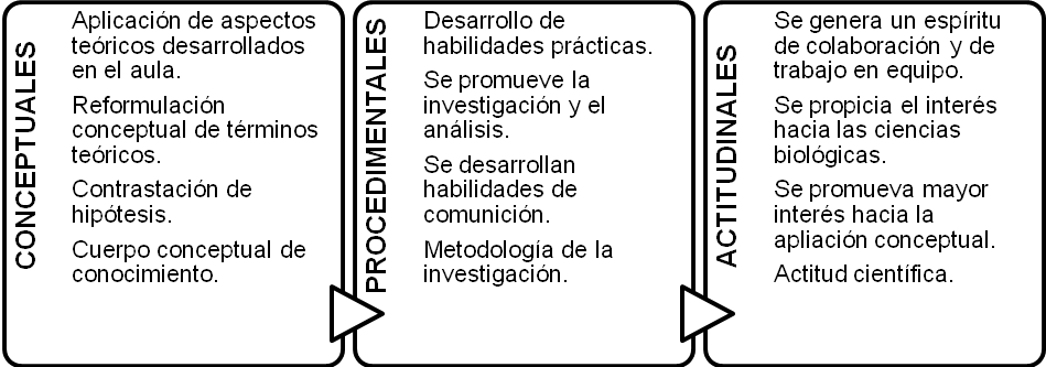 Las Estrategias Metodológicas En El Aprendizaje De La Biología