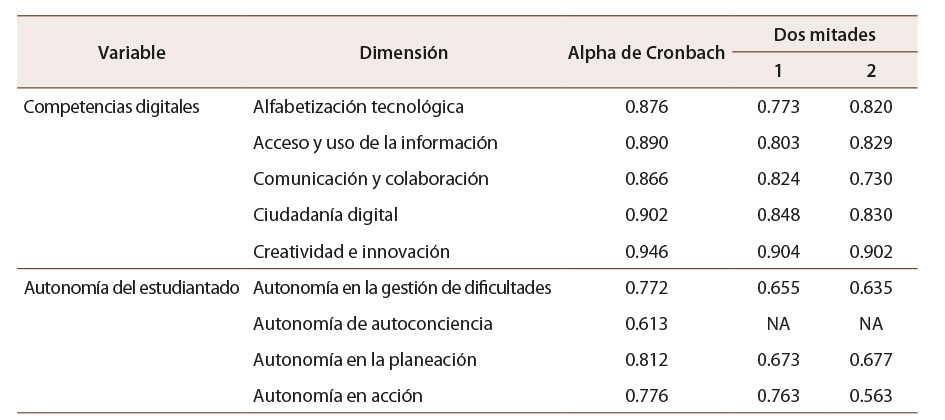 Tabla 2: Análisis de consistencia interna