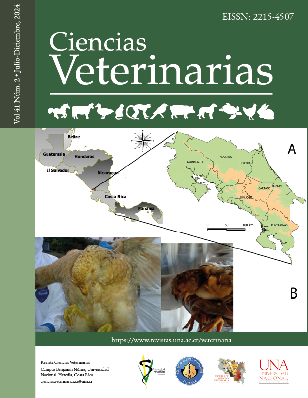 					View Vol. 41 No. 2 (2023): Ciencias Veterinarias (July-December)
				